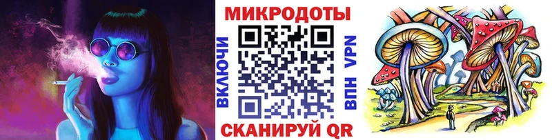 Псилоцибиновые грибы Psilocybine cubensis  Барабинск 