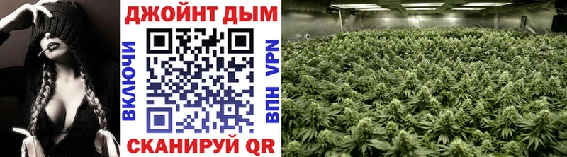 продажа наркотиков  Барабинск  блэк спрут как войти  МАРИХУАНА LSD WEED 